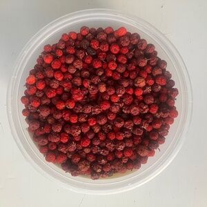 Dried ilex berries red and rust brown mix for arts, crafts, floral decor